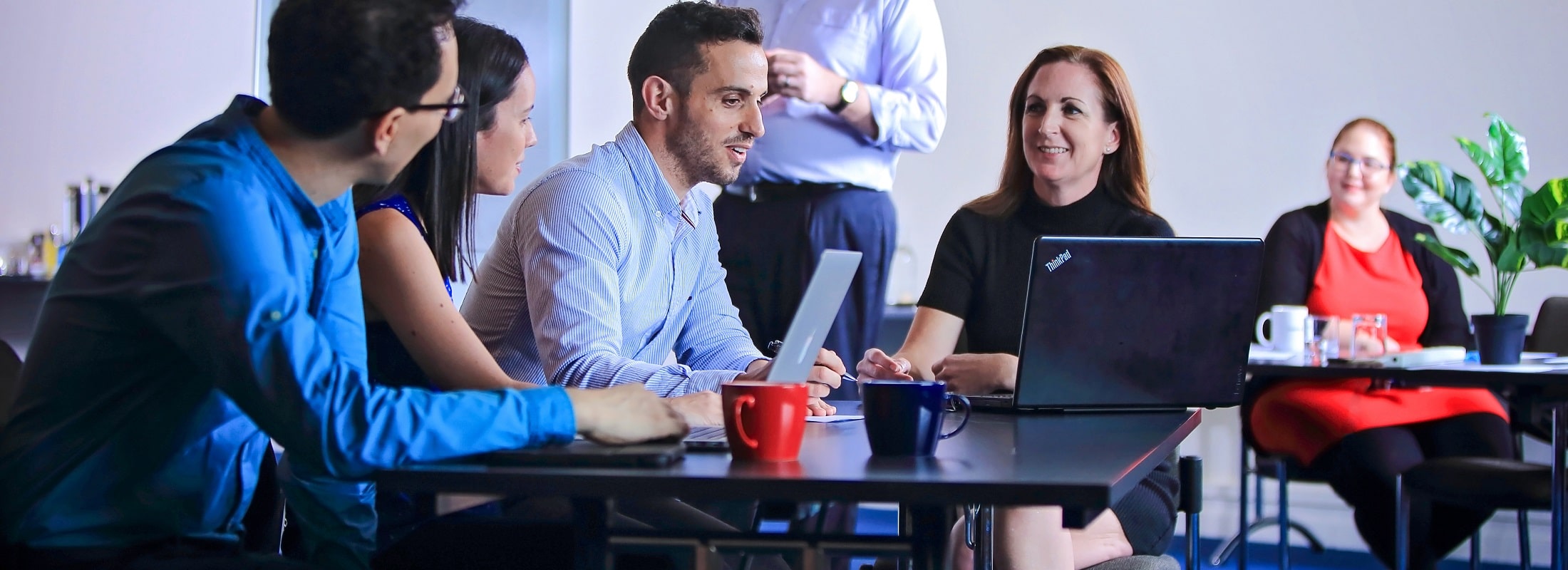 Merajai Pasar Cairns: Panduan Lengkap Digital Marketing untuk Bisnis di Kota Tropis