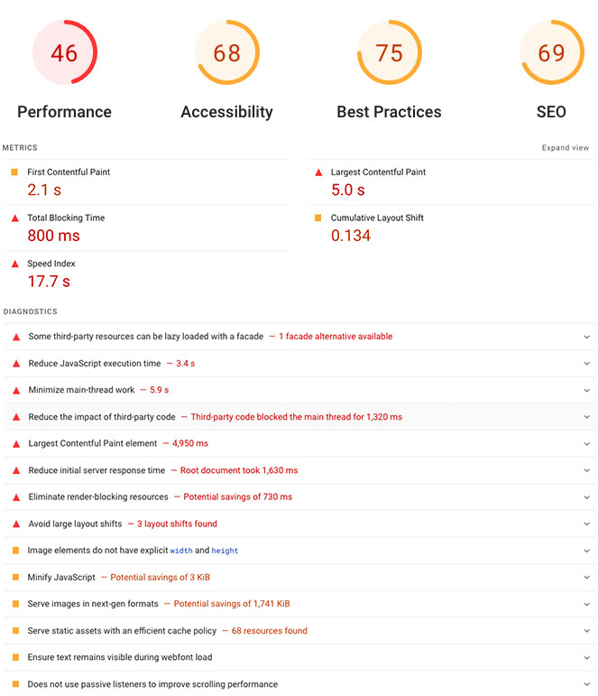 Website Audit - Performance results screenshot