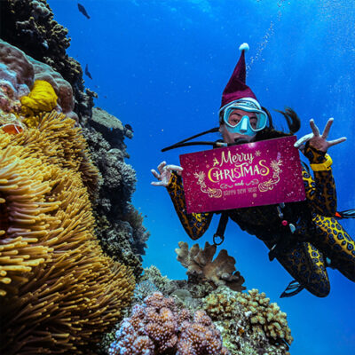 A person in a scuba suit holds a Christmas card, smiling against a backdrop of underwater scenery.